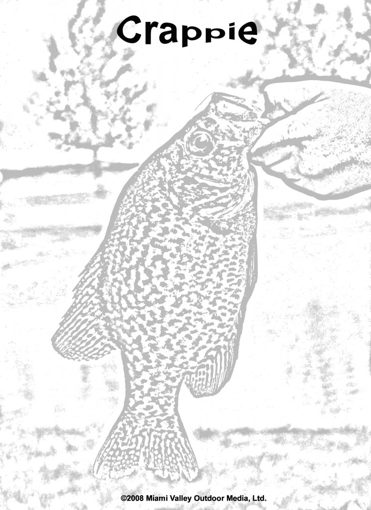 coloring page: hand holding a crappie
