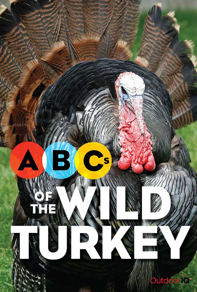 OutdoorIQ: ABCs of the Wild Turkey - front cover